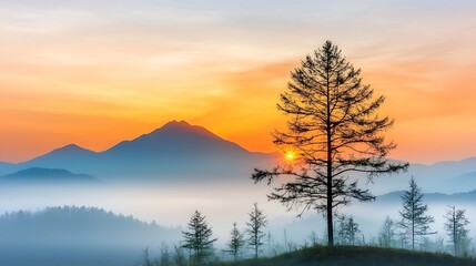 Obraz premium As the sun dips below the horizon, casting a warm glow across the sky, the silhouettes of trees and mountains are outlined against the fading light