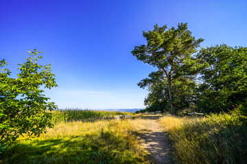 View from the Braunauer Warte near Bad Wildungen, Braunau district. Medieval watchtower, observation tower on Mühlenberg with the surrounding landscape.
