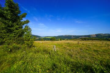 Landscape in the Sauerland near Olsberg. Nature with hiking trails on Istenberg in the Rothaargebirge.
