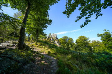 Landscape near Bruchhauser Steine ​​in the Sauerland near Olsberg. Nature at Istenberg on the Rothaargebirge.
