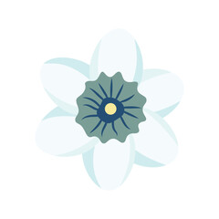 Winter Flower Vector Illustration - 05