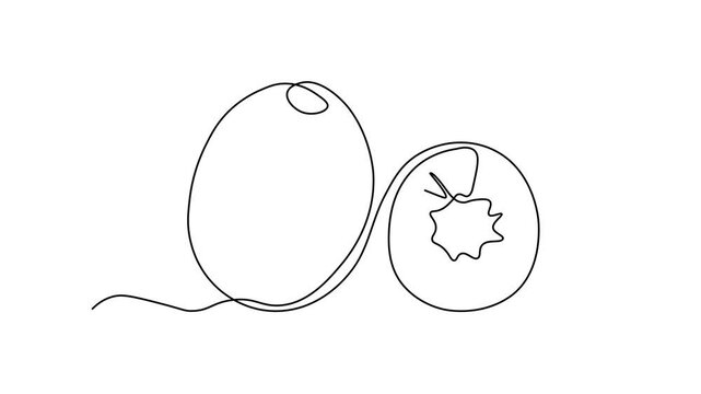 fruit kiwi and slice. Self drawing animation one continuous line draw, logo