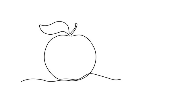 fruit apple and slice. Self drawing animation one continuous line draw, logo