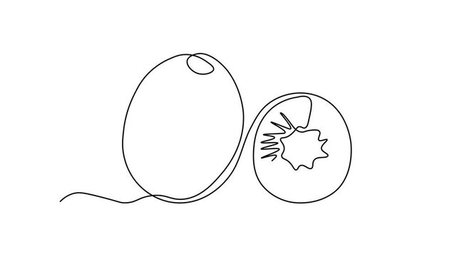 fruit kiwi and slice. Self drawing animation one continuous line draw, logo