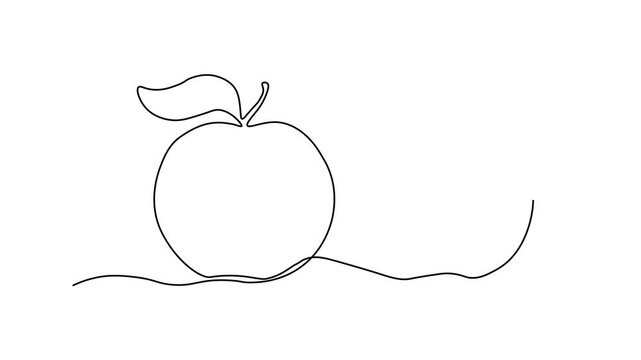 fruit apple and slice. Self drawing animation one continuous line draw, logo