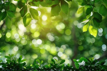 Obraz premium Vibrant green nature bokeh background.