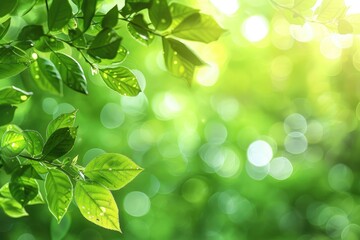 Green bokeh nature background repetition.