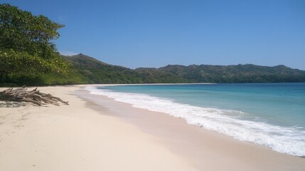 Serene Tropical Beach with Clear Blue Water