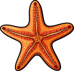 Colorful Hand-Drawn Starfish Illustration