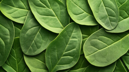 Close-up view of overlapping fresh green leaves with detailed textures, representing nature and organic growth.
