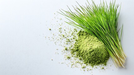 Fototapeta premium Barley grass with barley powder is a nutrient dense superfood rich in vitamins, minerals, and antioxidants
