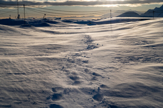 Winter snow background. Texture. Endless snow. Snowdrift.