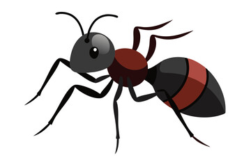 Bullet Ant Color Vector Design.