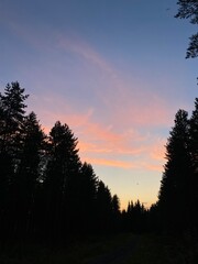 Sunset over a dense pine forest in Finland, with a sky painted in soft pink and blue hues, silhouetting the trees for a peaceful Nordic evening atmosphere.