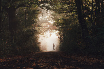 Fototapeta premium Early Morning Run in Autumn: Silhouetted Athlete Jogging through a Leafy Trail in a Colorful Fall Landscape