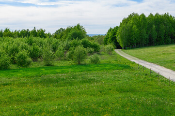 Obraz premium Intensywnie zielone pola I lasy i ścieżka pomiędzy 