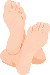 Woman Feet, Human feet. sole, heel and toes, healthy skin, toenails, body part, human body anatomy elements,