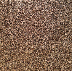 It is a collection of harvested perilla seeds.