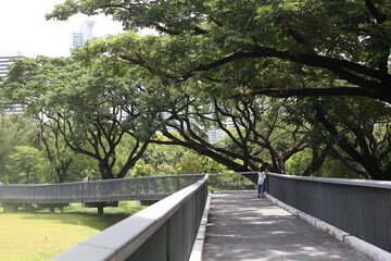 Benjasiri Park Bangkok