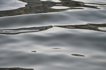 stream in the mountains