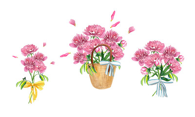 bouquet of peonies watercolor illustration set