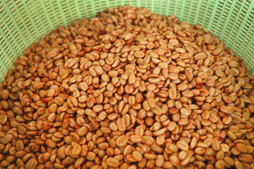 Coffee beans,In the ferment and wash method of wet processing