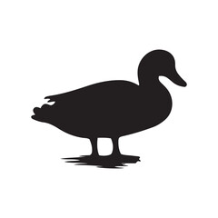 Duck icon. Duck black silhouette isolated on white background. Vector illustration, Domestic and wild ducks.