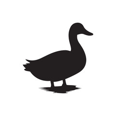 Duck icon. Duck black silhouette isolated on white background. Vector illustration, Domestic and wild ducks.