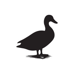 Duck icon. Duck black silhouette isolated on white background. Vector illustration, Domestic and wild ducks.