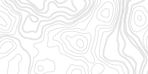 Transparent PNG Topographic line map. Modern design with White background with topographic wavy pattern design.