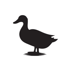 Duck icon. Duck black silhouette isolated on white background. Vector illustration, Domestic and wild ducks.