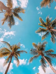 Palm trees viewed from below, reaching towards the sky with fluffy white clouds.