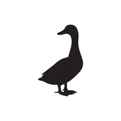 Duck icon. Duck black silhouette isolated on white background. Vector illustration, Domestic and wild ducks.