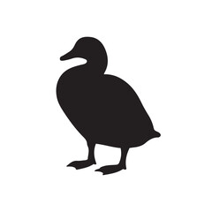Duck icon. Duck black silhouette isolated on white background. Vector illustration, Domestic and wild ducks.