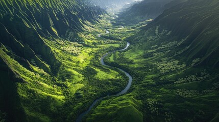 Obraz premium Majestic Aerial View of Lush Green Valley with Flowing River, Capturing the Serenity of Nature's Untouched Landscape in the Heart of a Mountain Range