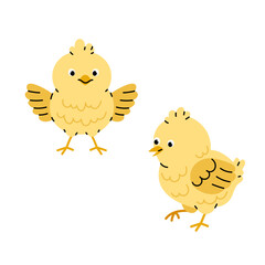 Small yellow chicks. Birds. Newborn chicks. Domestic animals. Flat vector illustration on white background.