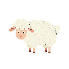 Domestic or farm animal. Cute fluffy sheep. Kids illustration funny sheep. Flat vector illustration on white background.