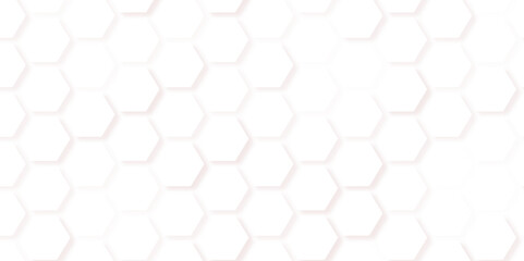 Honeycomb pattern with hexagon mesh. Line grid of hexagons black and white seamless pattern. Raster