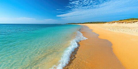 Fototapeta premium A serene beach scene with golden sand and clear blue water under a bright sky.
