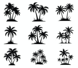 Palm Trees Set Isolated On White Background. Palm Silhouettes.