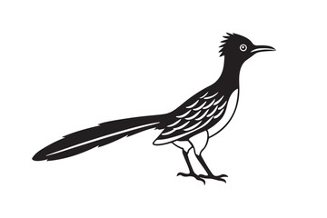 Greater Roadrunner  silhouette  vector bundle illustration, Greater Roadrunner  silhouette 