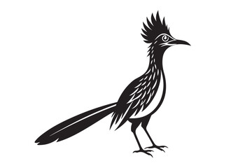 Greater Roadrunner  silhouette  vector bundle illustration, Greater Roadrunner  silhouette 