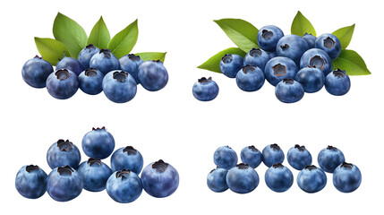 Fresh blueberries arranged with green leaves for culinary use