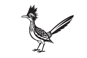 Greater Roadrunner  silhouette  vector bundle illustration, Greater Roadrunner  silhouette 