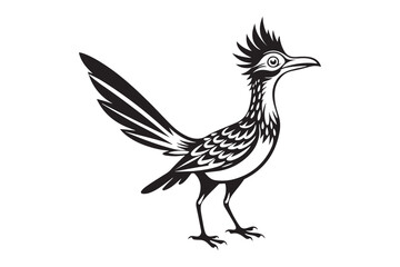 Greater Roadrunner  silhouette  vector bundle illustration, Greater Roadrunner  silhouette 
