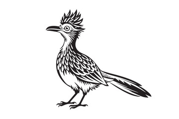 Greater Roadrunner  silhouette  vector bundle illustration, Greater Roadrunner  silhouette 