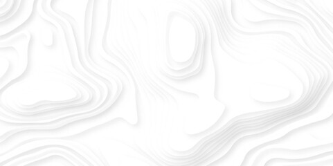 Abstract White Paper cut background. Modern 3d Paper cut background. 3D illustration, abstract paper background, flat layers, relief topographic map, white relief texture background.