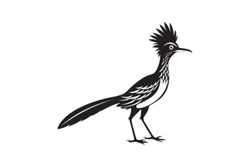 Greater Roadrunner  silhouette  vector bundle illustration, Greater Roadrunner  silhouette 