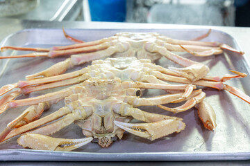 Korean crab food. Steamed snow crab