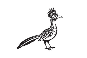 Greater Roadrunner  silhouette  vector bundle illustration, Greater Roadrunner  silhouette 